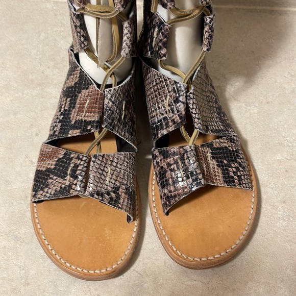 Freebird Caesar - EUC - Picture 8 of 8